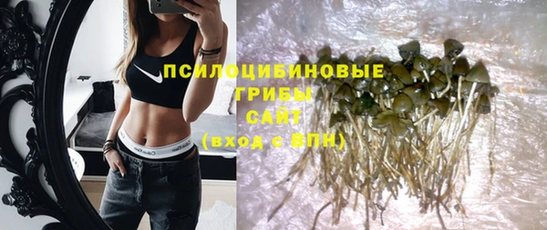 не бодяженный Алзамай
