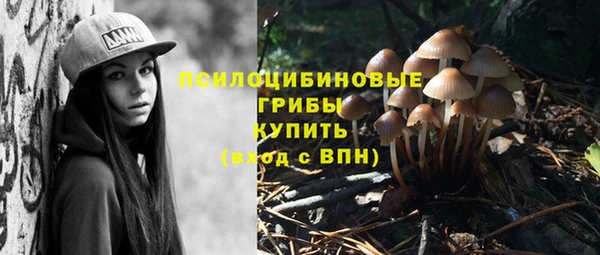 не бодяженный Алзамай